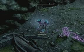 How To Complete The Touching The Sky Quest In Skyrim