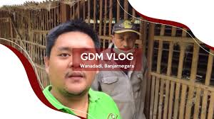 Telur ayam sebaiknya dipanen sehari sekali. Cara Budidaya Ayam Petelur Secara Lengkap Dan Telah Terbukti