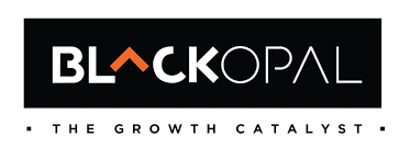 LIVE: Black Opal Consultants IPO Allotment Status Today — The ₹55 Cr Real Estate & Ayodhya Capex Allocation Guide