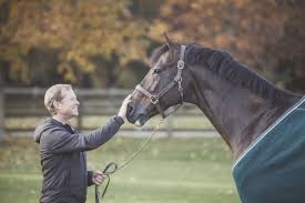 The following 32 files are in this category, out of 32 total. Rolf Goran Bengtsson Interviewed By The Longines Global Champions Tour Equestrian Worldwide Pferdesport Weltweit Eqwo Net
