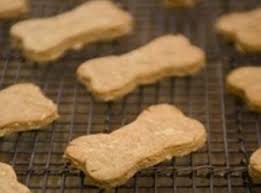 Apple Cinnamon Dog Treats Recipe Dog Biscuit Recipes Dog Treats Homemade Recipes Dog Recipes