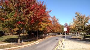 Check spelling or type a new query. Lamp Post House Fixtures Riveroaksedgewater