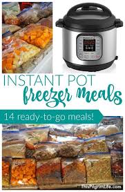 Make 14 Delicious And Family Friendly Instant Pot Freezer Meals For Less Than 150 Fi Instant Pot Freezer Meals Instant Pot Dinner Recipes Instant Pot Freezer