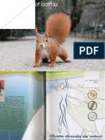 A fi curat inseamna : Sanatatea Are Gust M Bilic