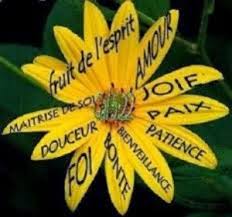 Fabriquez Votre Bouclier Sur Le Jeu Du Tao Saint Esprit Fruits De L Esprit Saint Armure De Dieu