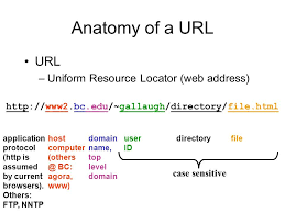 Slide 8 Jpg 960 720 Web Address Anatomy Browser