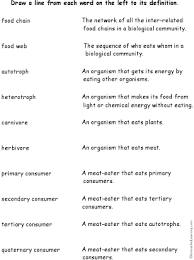 A food chain is mostly made up of three trophic levels. 4 12 Ws Food Chains And Webs