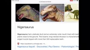 500 tooth dinosaur (page 1). Why Does Dinosaurs Have 500 Teeth The Millennial Mirror