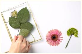 You can dehydrate the flowers for a couple of hours and then continue drying by pressing them in a book or with a. How To Press Flowers With Botanical Print Tutorial Ftd Com