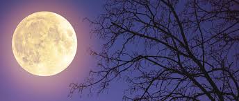 The moon will peak on thursday and be officially full, though it will look full wednesday and friday as well. Pink Supermoon 2021 How To See The Full Moon In The Uk Bbc Science Focus Magazine