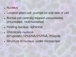 Clear gelatinous substance surrounding the various cellular structures. The Cell Ppt Download