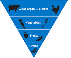 Food Charts Herbsmith