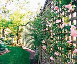 15 Easy Ways To Turn Your Yard Into Your Own Private Sanctuary Privacy Fence Landscaping Backyard Fences Landscaping Along Fence