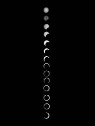 60 Best Black Iphone 7 Plus Wallpaper Images Iphone Wallpaper Wallpaper Iphone Background