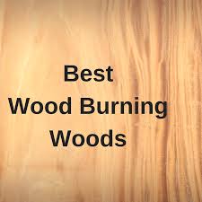 Best Woods For Wood Burning Wood Burning Tips Wood Burning Kits Beginner Wood Burning