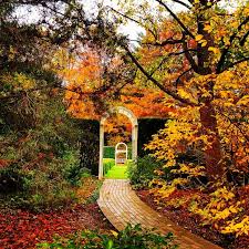 Mill Creek Park Fellows Rose Garden Mill Creek Park Beautiful Park Youngstown Ohio