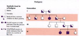 How To Read A Pedigree Chart Genetics For Dummys