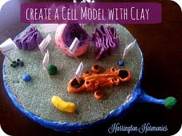 We did not find results for: Smart Idea Cell Project Ideas Easy