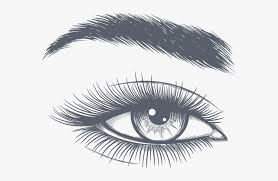 All clipart images are guaranteed to be free. Eyelash Clipart Clear Background Eyebrow Clipart Hd Png Download Kindpng