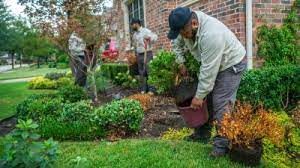Pin By Peter Anderson On Business Tree Removal Service Tree Trimming Service Lawn Service