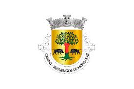The population in 2011 was 10,828, in an area of 464.00 km². Campo Reguengos De Monsaraz Flag Available To Buy Flagsok Com