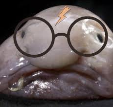 His blobber lips and beetle brows. Harry Blobber Album On Imgur