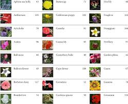 Prunus is a genus of trees and shrubs, which includes (among many others) the fruits plums, cherries, peaches, nectarines, apricots, and almonds. Flower End To End Detection Based On Yolov4 Using A Mobile Device