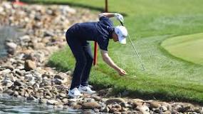Image result for what is a water hazard in golf