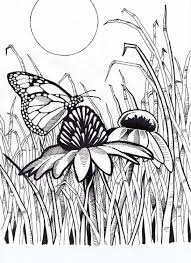 This is a great collection of butterfly coloring pages. Pin On Grown Up Coloring Pages