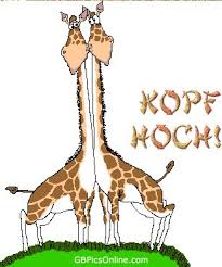 Kopf Hoch Bilder Kopf Hoch Gb Pics Kopf Hoch Beste Gif Kopf