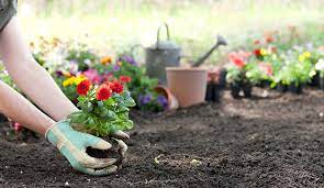 If your soil isn't right, your garden will. How To Make A Flower Bed And Start A Flower Garden Gilmour