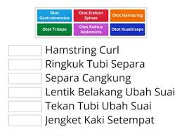 Maybe you would like to learn more about one of these? Otot Otot Unterrichtsmaterialien