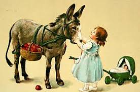 Image result for donkeys in the hills of Cali