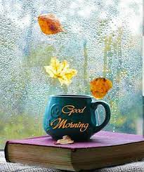 Good Morning Quotes Good Morning Wallpaper Good Morning Images Good Morning Nature