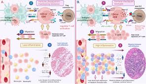 Frontiers | Toxicity in the era of immune checkpoint inhibitor therapy