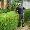 Our staff has the knowledge and equipment to properly take care of your trees and plants. 1
