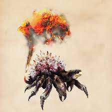 Fire Crab Harry Potter Wiki Fandom Powered By Wikia Harry Potter Creatures Monster Book Of Monsters Harry Potter Beasts