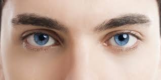 Authentic stock photos that make a statement. áˆ Boy Brown Hair Blue Eyes Stock Images Royalty Free Boy Blue Eyes Photos Download On Depositphotos