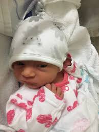 Shorts Chartered Accountants