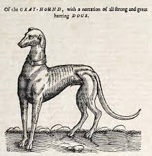 #greyhoundmovie, starring @tomhanks, coming july 10 to apple tv+. Greyhound Wikiwand