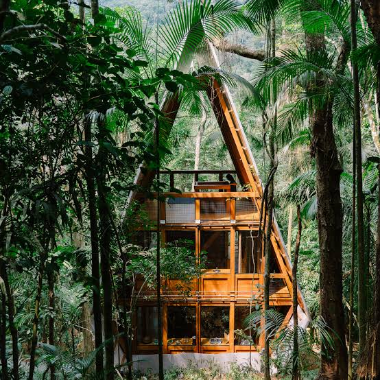 Atelier Marko Brajovic builds Monkey House on stilts in the forests of  Brazil