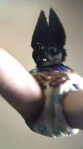 Fur playlist: Fursuiter messes diaper and sits… ThisVid.com
