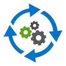 Business Process Re Engineering Rizing