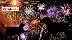 Thurrock Nub News - News update