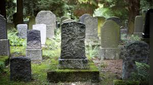 The costs of pet cemeteries varies on what services you choose for your pet. When Whole Family Cemeteries Include Our Pets 13 7 Cosmos And Culture Npr