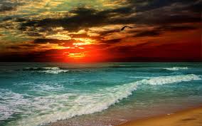 Check spelling or type a new query. Free Download Wallpaper Sunset Waves Wallpaper Hd Wallpaper Background Desktop 1680x1050 For Your Desktop Mobile Tablet Explore 41 Beach Waves Wallpapers For Desktop Hd Wave Wallpaper Live Ocean Waves