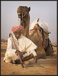The dromedary or arabian camel has a single hump, and the bactrian camel has two humps. Pin On Info Nostalgia Of Familiar Sights In Life