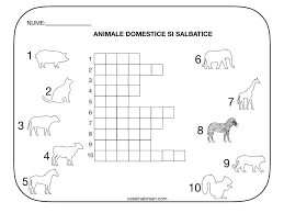 Rebus Animale Domestice Si Animale Salbatice Model Color Si Alb Negru Kids Education Kindergarden School Frame