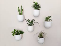 Collection by luu nam • last updated 4 weeks ago. Indoor Plant Wall Modern Boho Planter Pots The Diy Lighthouse