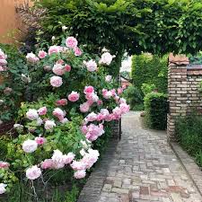 Your question will be posted publicly on the questions & answers page. Ballerino Cafe In Stahnsdorf